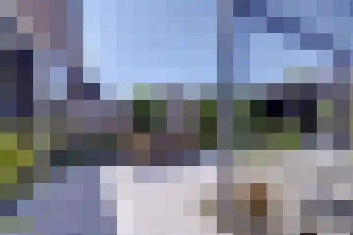 Polderlaan 55 Waddinxveen thumbnail 38