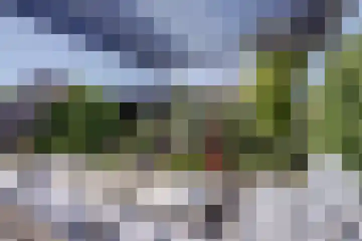 Polderlaan 55 Waddinxveen thumbnail 39