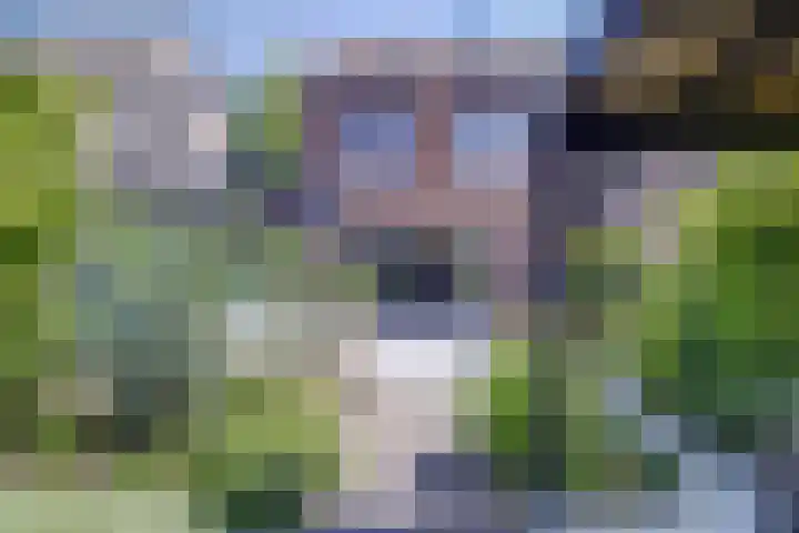 Polderlaan 55 Waddinxveen thumbnail 4