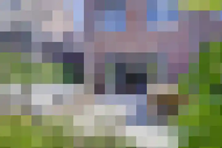 Polderlaan 55 Waddinxveen thumbnail 41