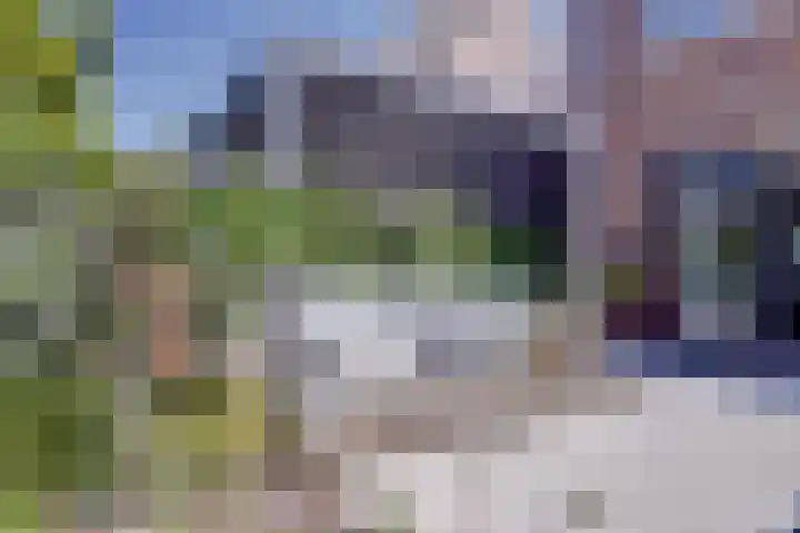 Polderlaan 55 Waddinxveen thumbnail 42