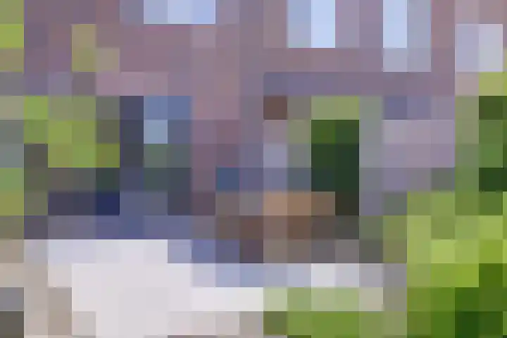 Polderlaan 55 Waddinxveen thumbnail 43