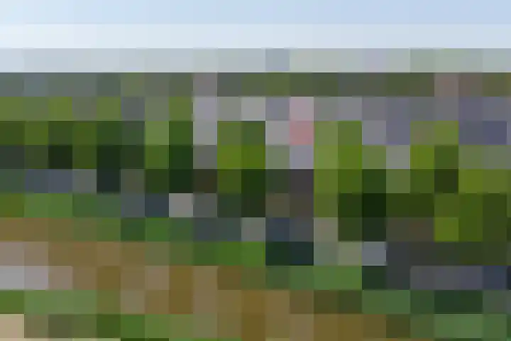 Polderlaan 55 Waddinxveen thumbnail 50