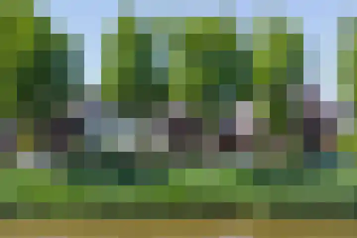 Polderlaan 55 Waddinxveen thumbnail 7