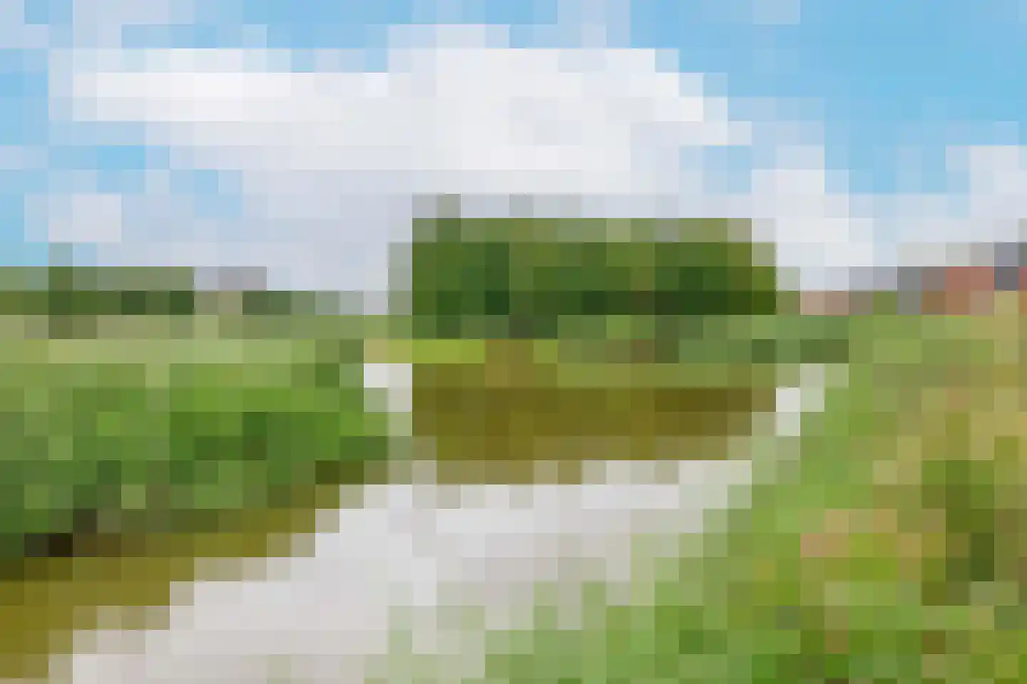 Polderlaan 85 Waddinxveen thumbnail 43