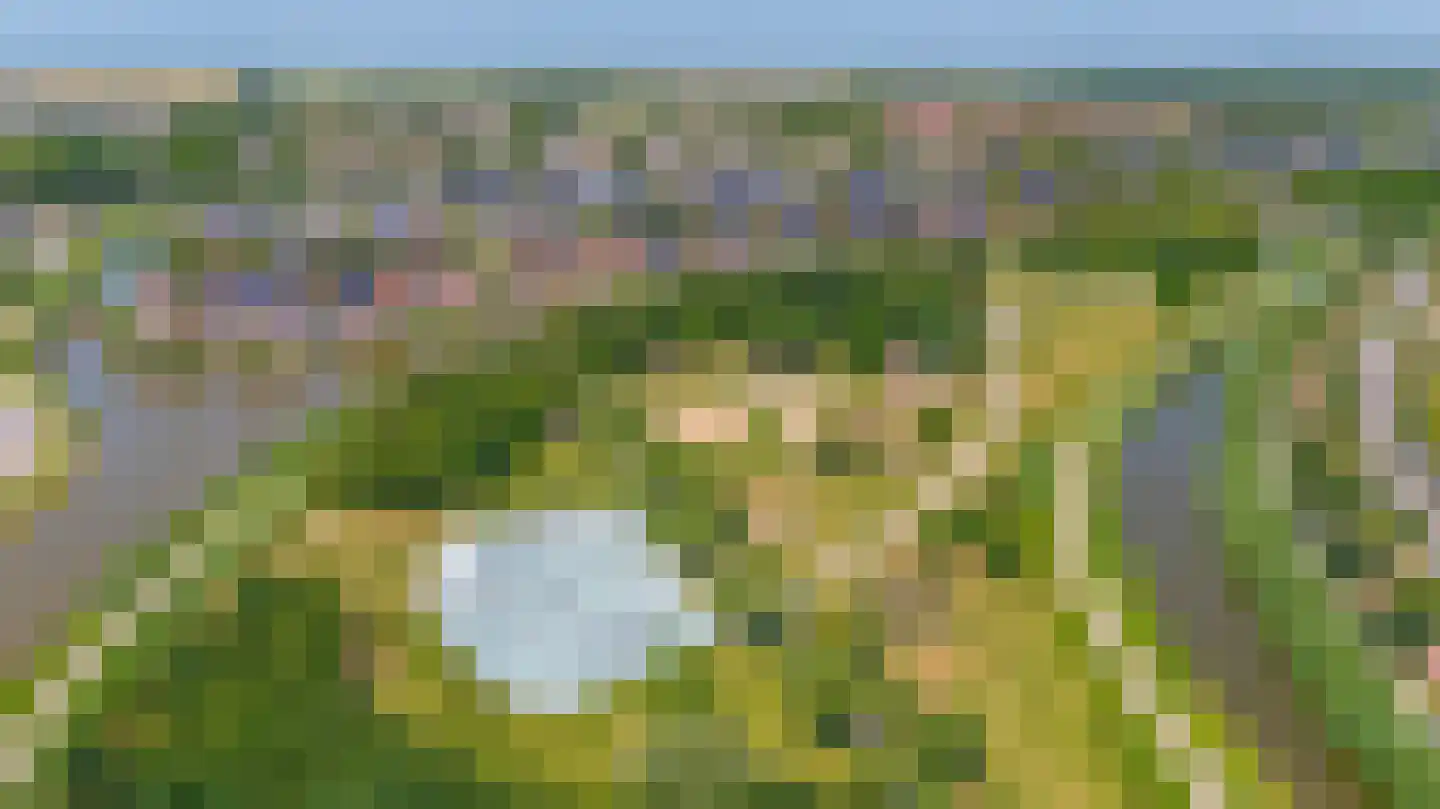 Polderlaan 85 Waddinxveen thumbnail 45