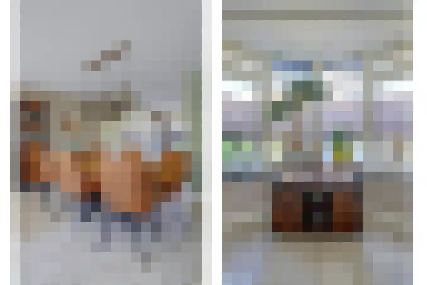 Polderland 13 Hendrik-Ido-Ambacht thumbnail 17