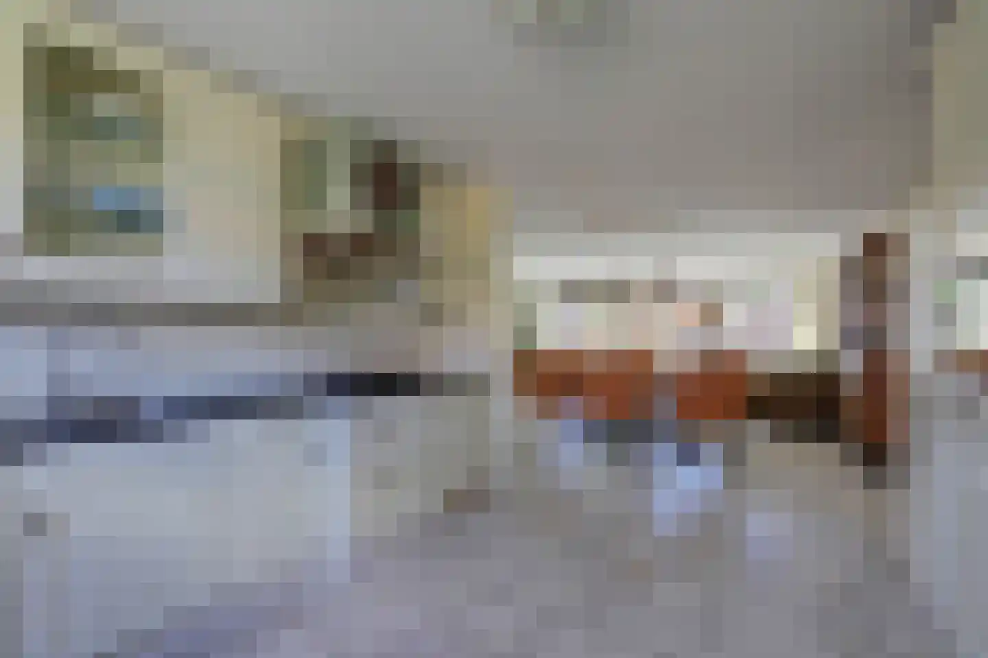 Polderland 13 Hendrik-Ido-Ambacht thumbnail 22