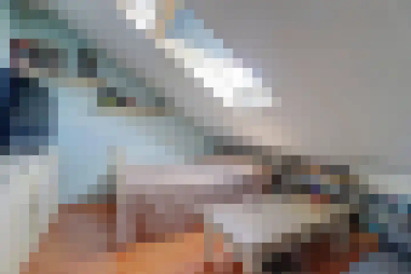 Polderland 13 Hendrik-Ido-Ambacht thumbnail 34