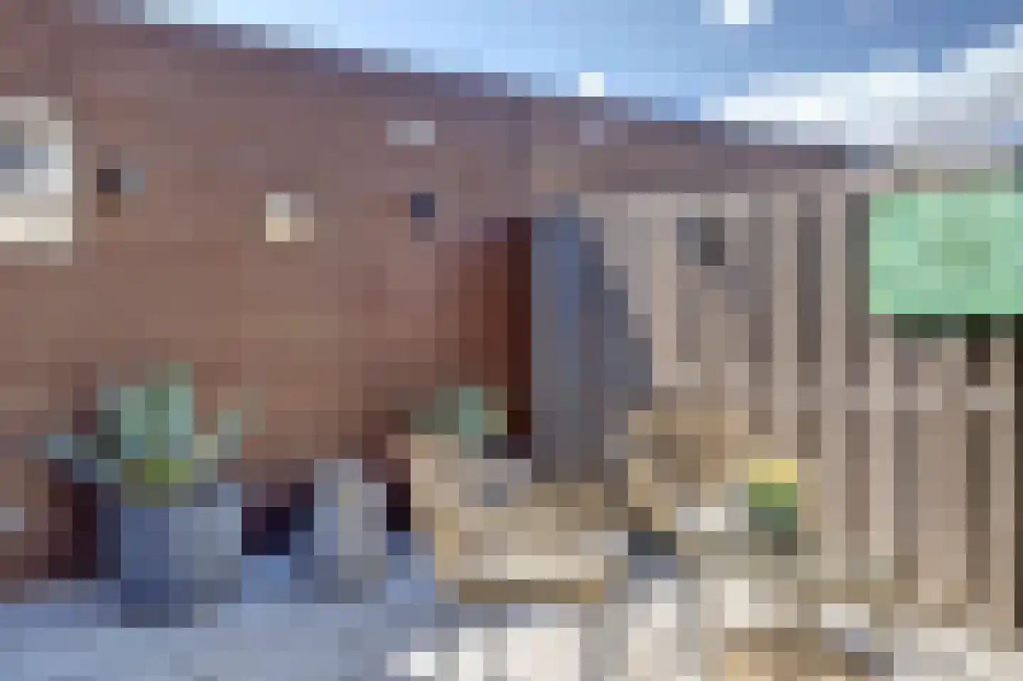 Polderland 13 Hendrik-Ido-Ambacht thumbnail 40