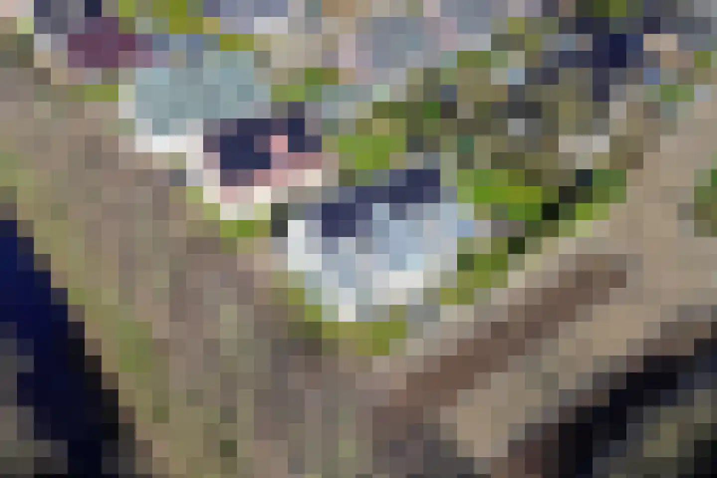 Polderland 15 Drachten thumbnail 62