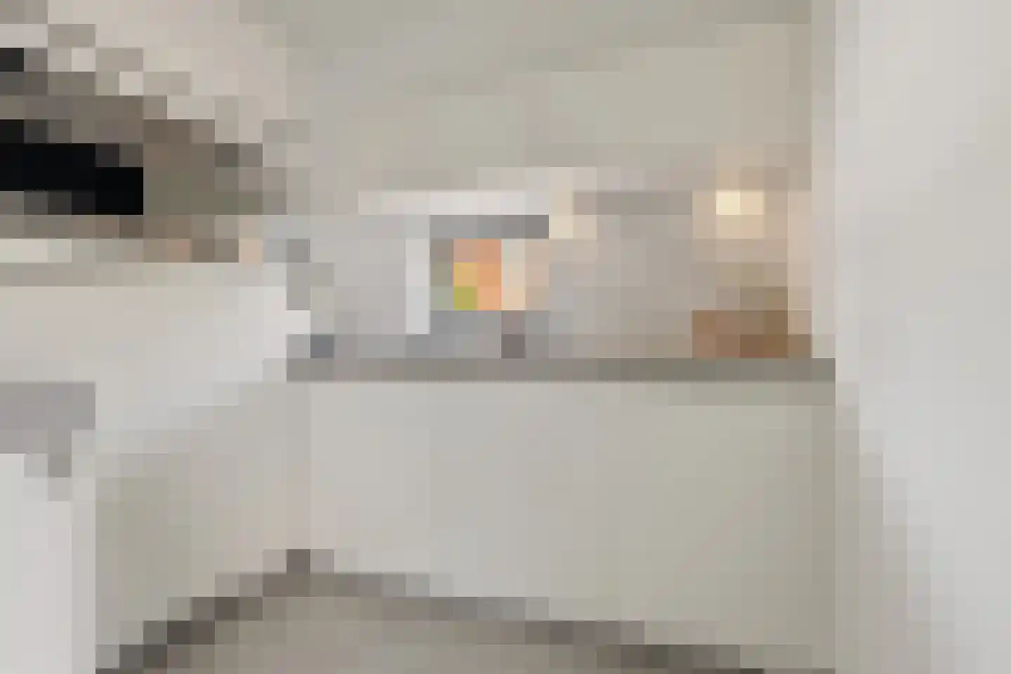 Polderland 2 Assendelft thumbnail 10