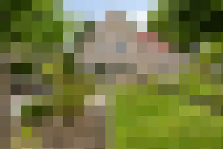Polderland 25 Drachten thumbnail 28