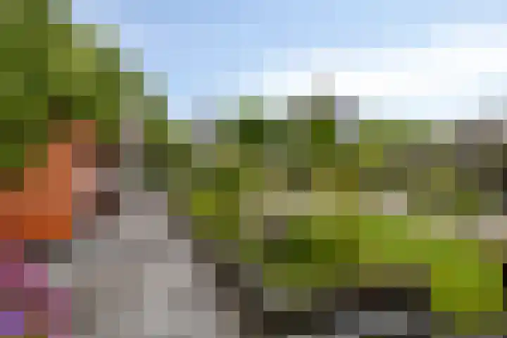 Polderland 25 Drachten thumbnail 30
