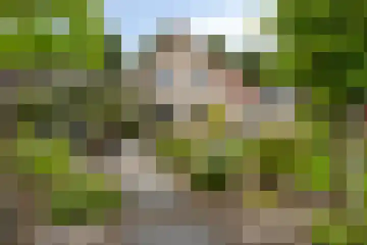 Polderland 25 Drachten thumbnail 31
