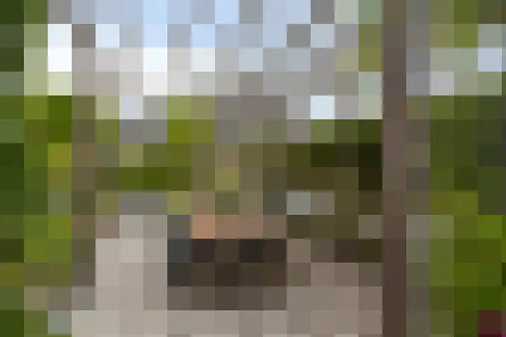 Polderland 25 Drachten thumbnail 32