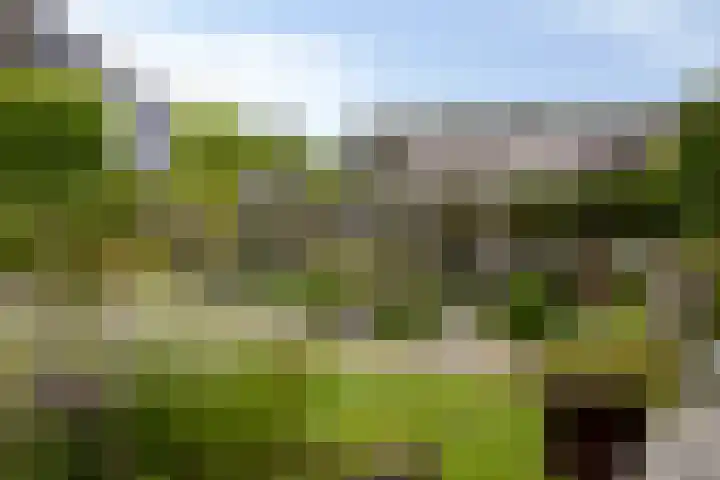 Polderland 25 Drachten thumbnail 33