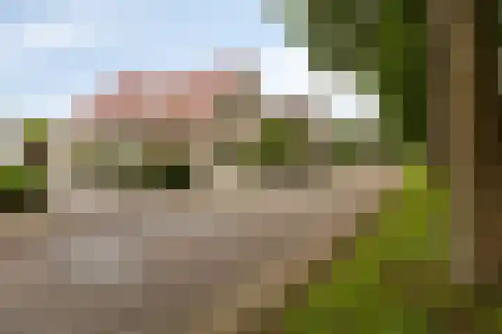 Polderland 25 Drachten thumbnail 36