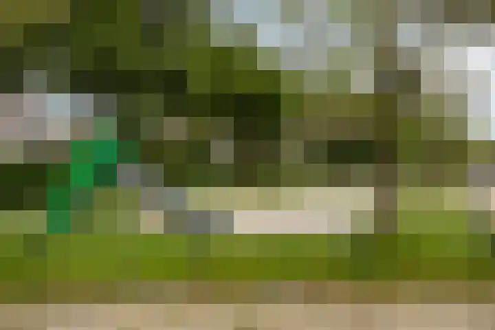 Polderland 25 Drachten thumbnail 38