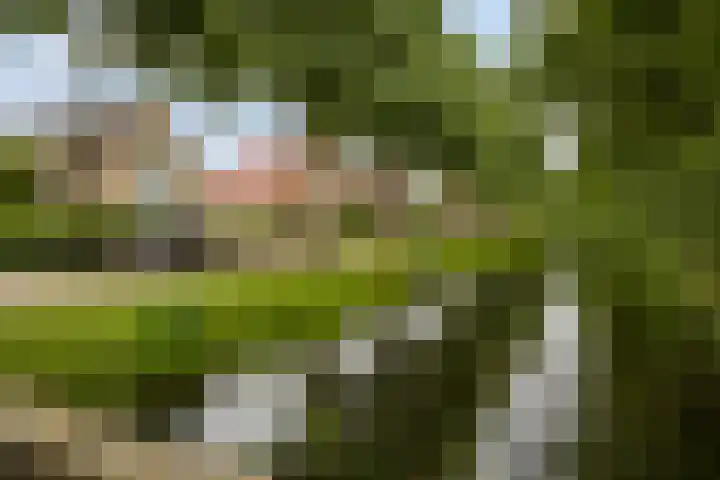 Polderland 25 Drachten thumbnail 39