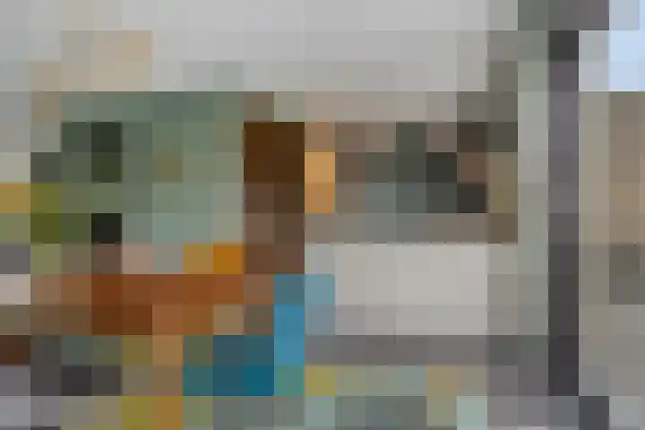 Polderland 25 Drachten thumbnail 9