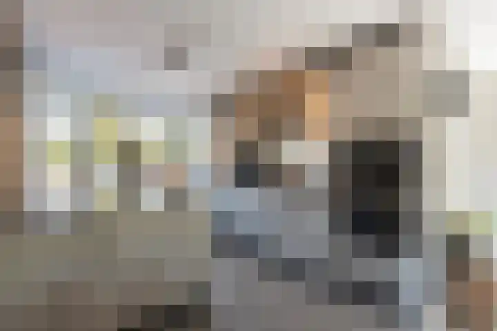 Polderland 27 Hendrik-Ido-Ambacht thumbnail 10