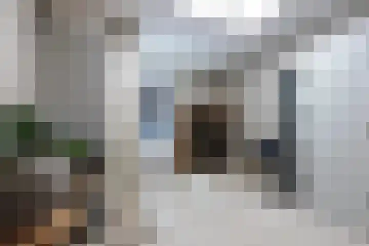 Polderland 27 Hendrik-Ido-Ambacht thumbnail 31