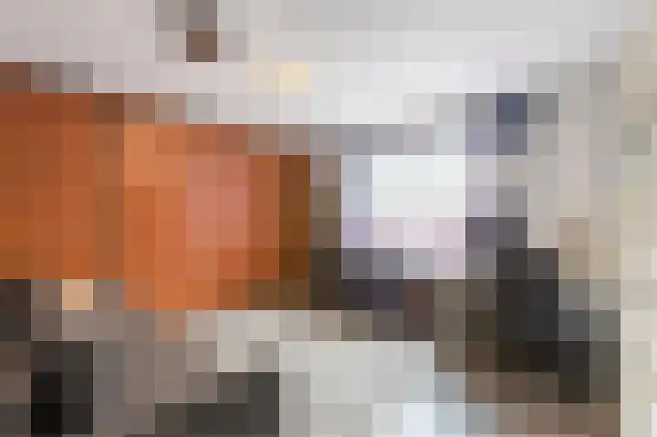 Polderland 42 Diemen thumbnail 33