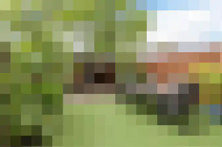 Polderland 42 Diemen thumbnail 37