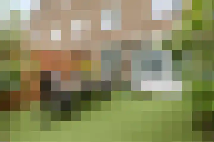 Polderland 42 Diemen thumbnail 39