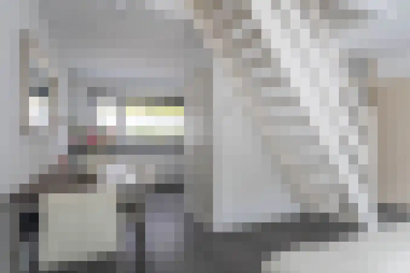 Polderland 83 Diemen thumbnail 9