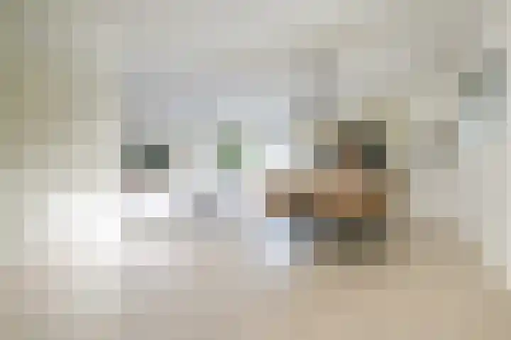 Poldermeester 2 Wilnis thumbnail 11