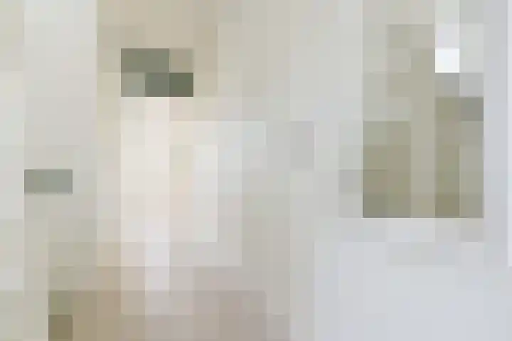 Poldermeester 2 Wilnis thumbnail 17