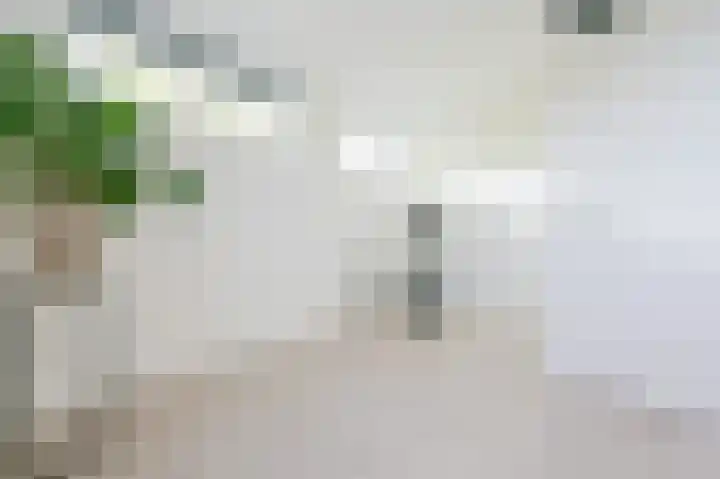 Poldermeester 2 Wilnis thumbnail 19