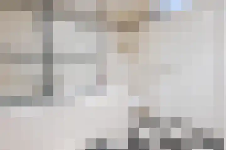 Poldermeester 2 Wilnis thumbnail 25