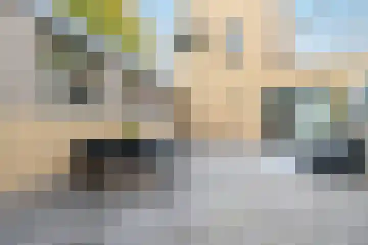 Poldermeester 2 Wilnis thumbnail 35