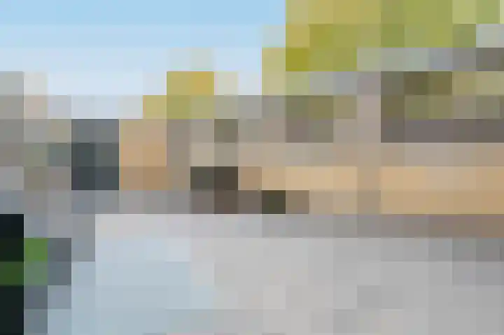Poldermeester 2 Wilnis thumbnail 37