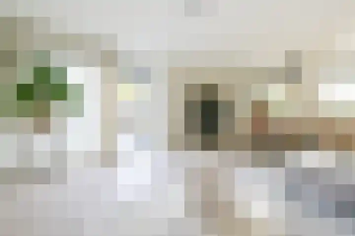 Poldermeester 2 Wilnis thumbnail 9