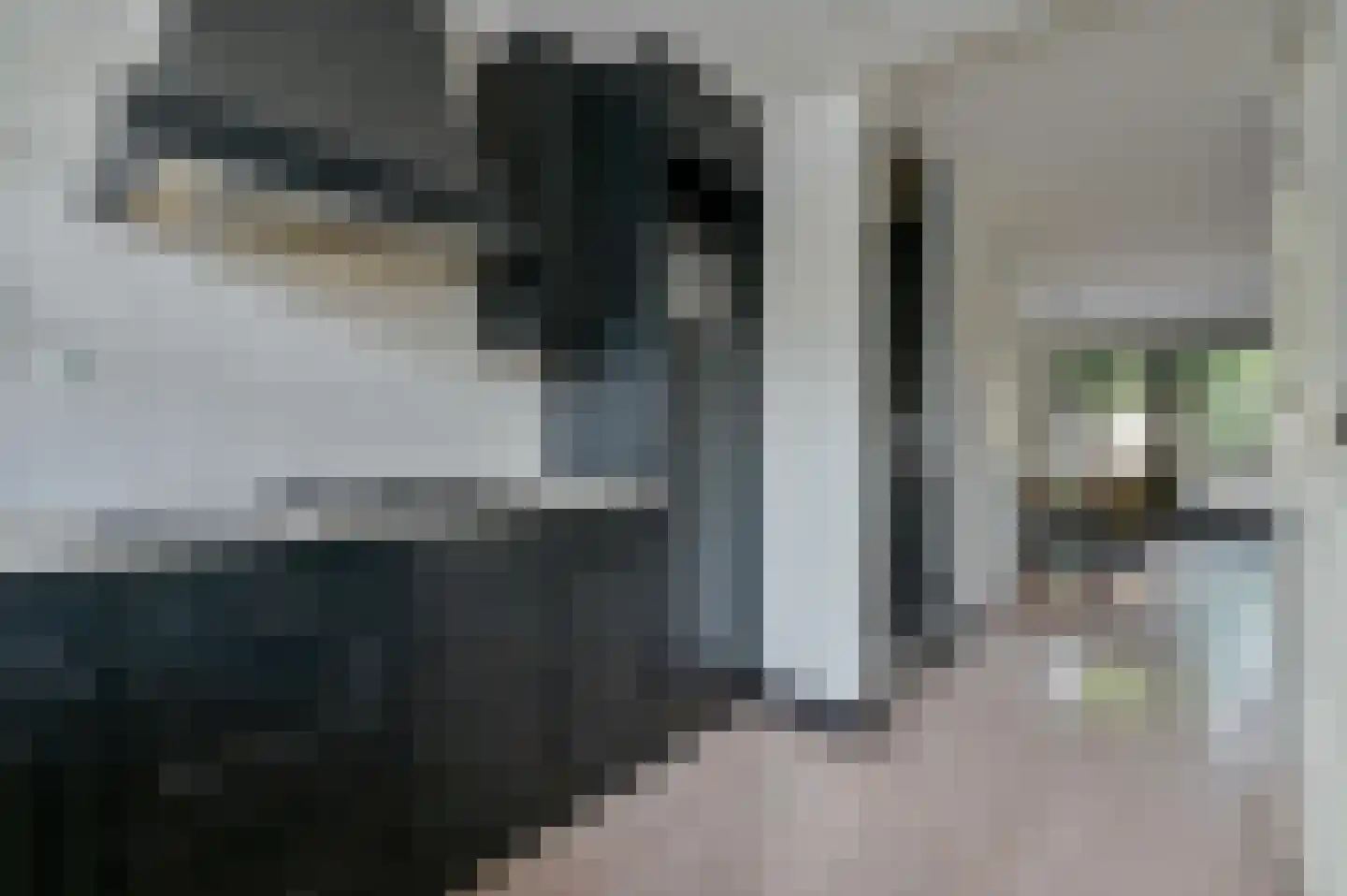 Poldermeester 9 Wilnis thumbnail 10
