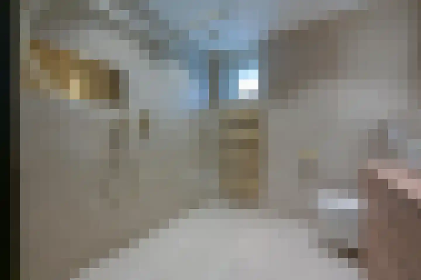 Poldermeester 9 Wilnis thumbnail 20