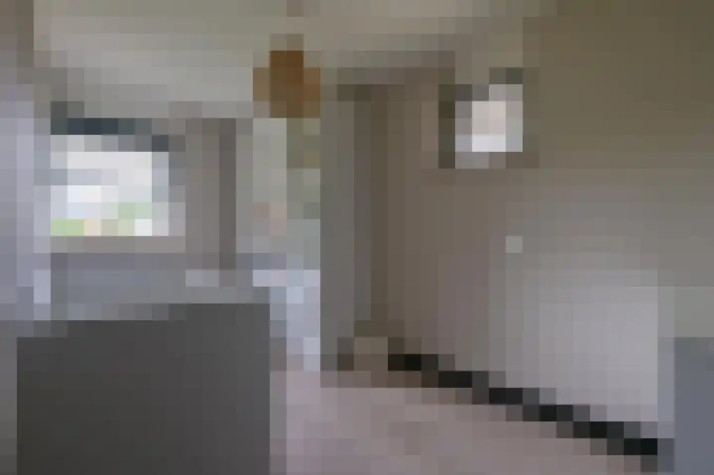 Poldermeester 9 Wilnis thumbnail 23