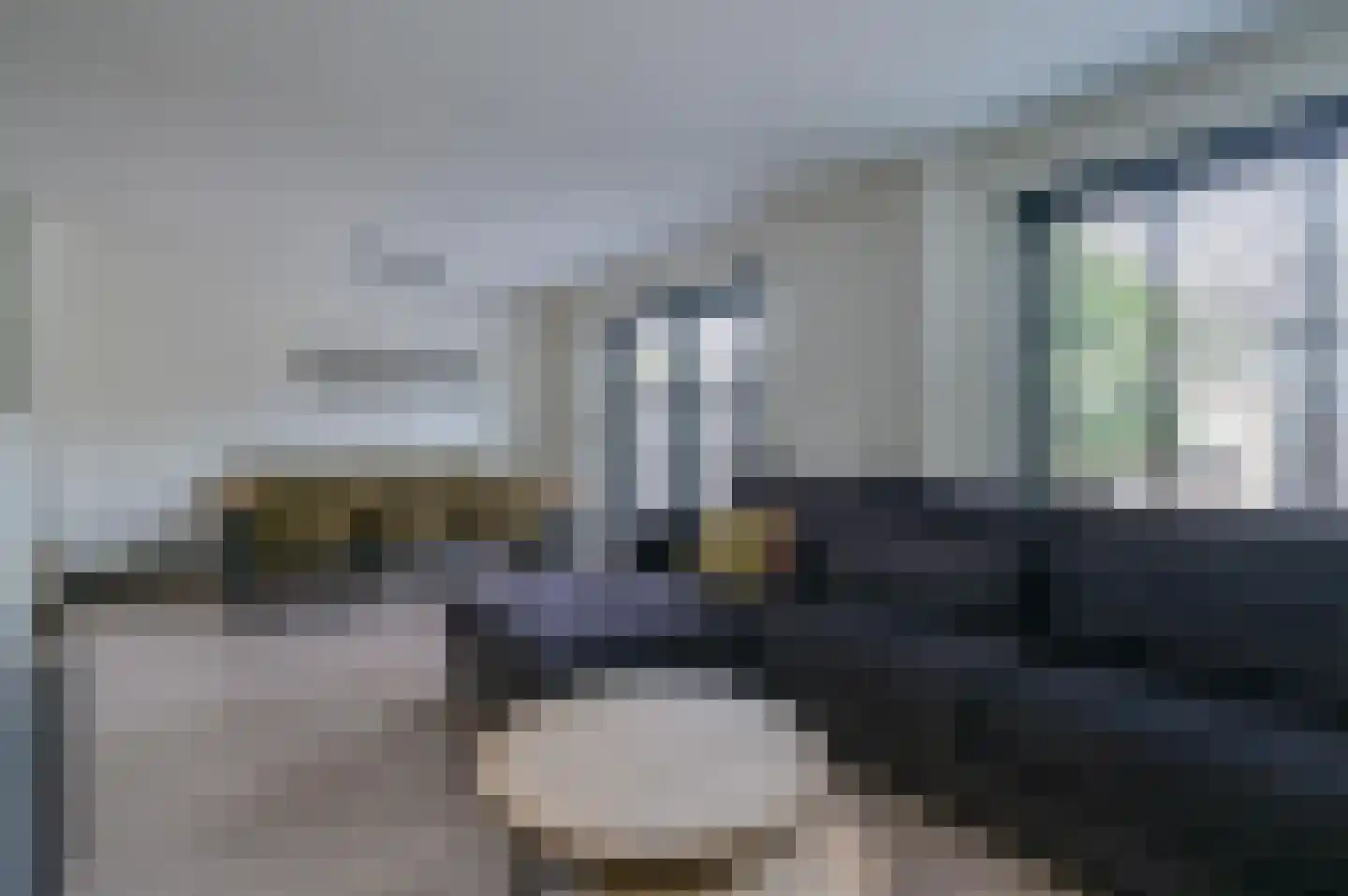 Poldermeester 9 Wilnis thumbnail 6