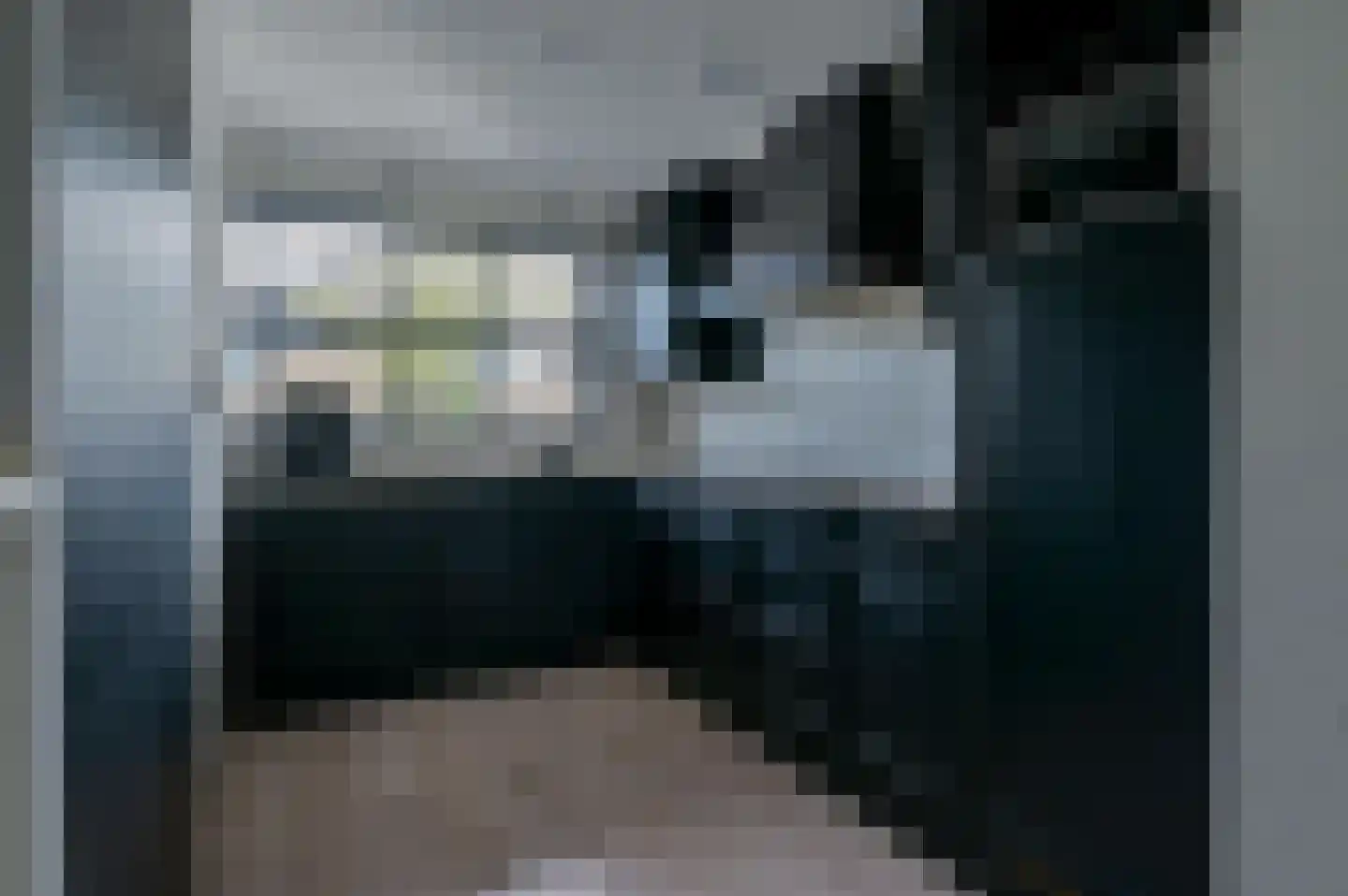 Poldermeester 9 Wilnis thumbnail 9