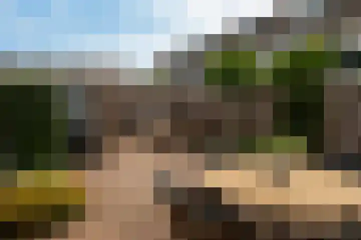 Poldermeesterhof 15 Krimpen aan den IJssel thumbnail 13