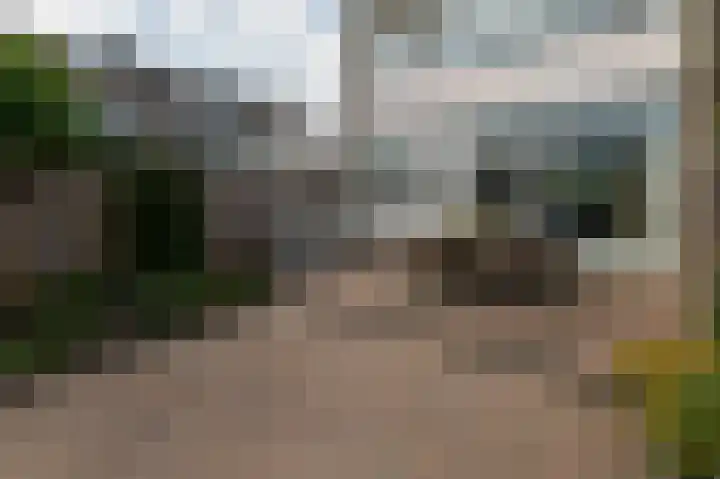 Poldermeesterhof 15 Krimpen aan den IJssel thumbnail 14