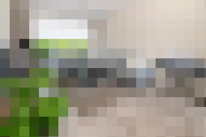 Poldermeesterhof 15 Krimpen aan den IJssel thumbnail 4