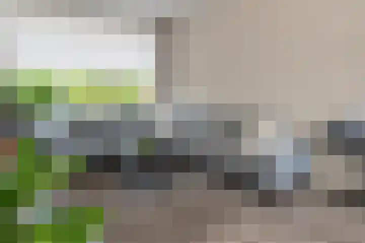 Poldermeesterhof 15 Krimpen aan den IJssel thumbnail 6
