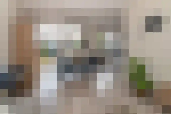 Poldermeesterhof 15 Krimpen aan den IJssel thumbnail 8