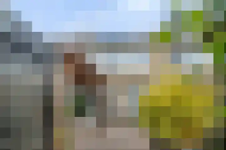 Poldermeesterhof 26 Krimpen aan den IJssel thumbnail 31