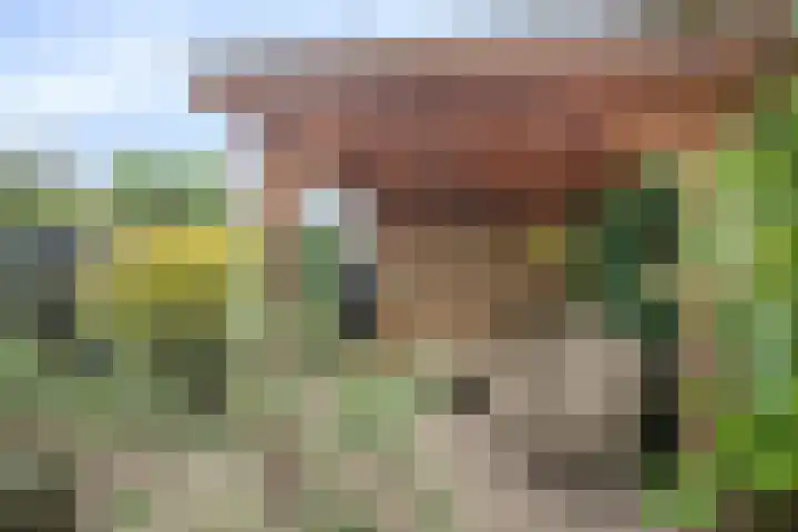Poldermeesterhof 26 Krimpen aan den IJssel thumbnail 32